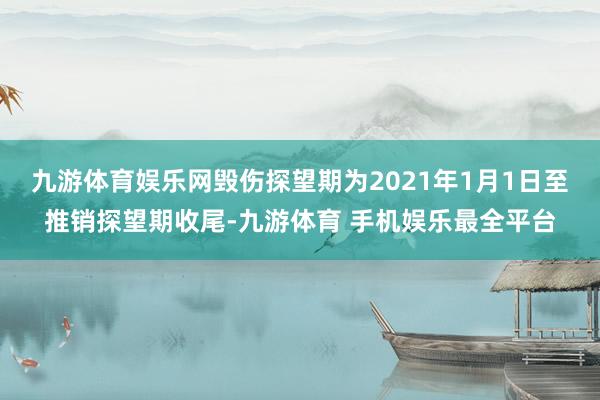 九游体育娱乐网毁伤探望期为2021年1月1日至推销探望期收尾-九游体育 手机娱乐最全平台